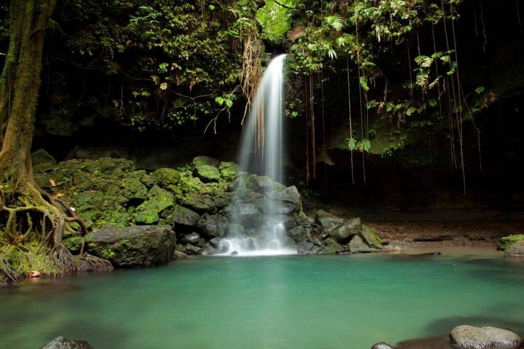 Volcanic rainforest landscape of Dominica